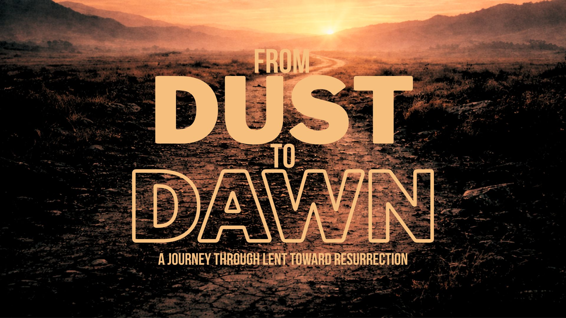 From Dust to Dawn